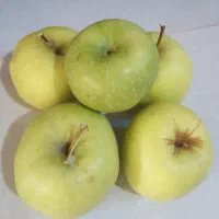 فروش سیب سبز