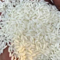 برنج سونامسوری سفید درجه یک