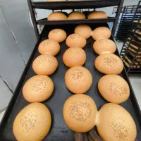 نیازمند وردست یا شاطر حرفه ای