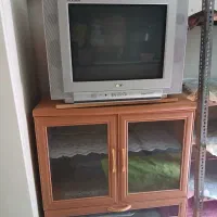 تلوزیون
