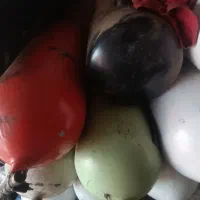 خرید وفروش کپسول گاز سی ان جی و ال پی جی|قطعات یدکی و لوازم جانبی|صباشهر, |دیوار