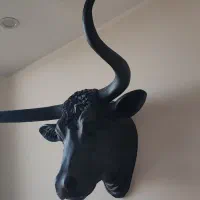 مجسمه گاو بوفالو فایبرگلاس|مجسمه، تندیس، ماکت|قزوین, |دیوار