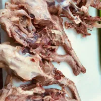 اسکلت مرغ|خوردنی و آشامیدنی|تهران, قیطریه|دیوار