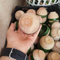 ماست خوری سفالی|صنایع دستی و سایر لوازم تزئینی|قم, زاویه|دیوار