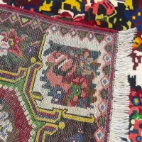 فرش دستباف (بساک) ۲ متری بختیار رنگ گیاهی|فرش|مشکین‌دشت, |دیوار