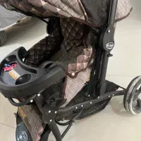 کالسکه دلیجان