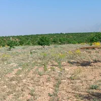 زمین کشاورزی قطره ای به مساحت ده جریب