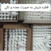 قطره شپش