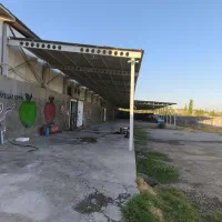 نیروی کار می خواهم که وارد به پرورش قارچ باشه|استخدام صنعتی، فنی، مهندسی|بکتاش, |دیوار