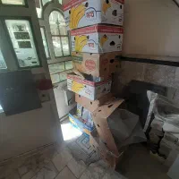 کارتن موزی