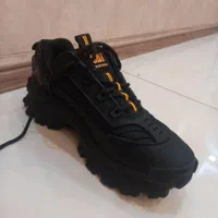 کفش کت اصل|کیف، کفش، کمربند|شیراز, بعثت|دیوار