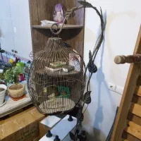 قفس پرنده|لوازم جانبی حیوانات|مشهد, مشکینی (شهرک غرب)|دیوار