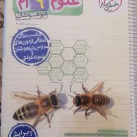 کتاب علوم خیلی سبز نهم تیزهوشان|کتاب و مجله آموزشی|شیراز, شهرک سراج‎|دیوار