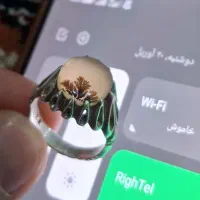 انگشتر شجر تک‌درخت