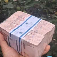 باکس کلکسیونی قدیمی نونو