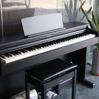 145 ydp yamaha|پیانو، کیبورد، آکاردئون|شیراز, ابیوردی|دیوار