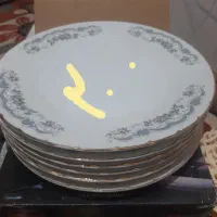 پلوخوری|ظروف سرو و پذیرایی|کرج, خرمدشت|دیوار