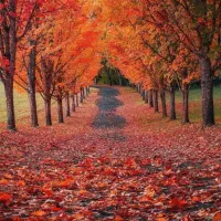 فروش-مغازه-در-کوی-فرهنگ