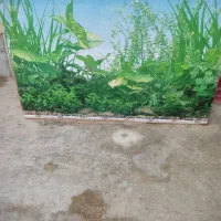 آکواریوم|ماهی|برازجان, |دیوار