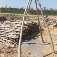 فروش هاچه