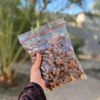 خشکبار خرما|عمدهفروشی|کنار تخته و کمار, |دیوار