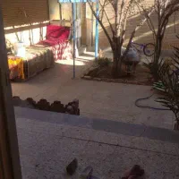 خانه ویلایی|فروش خانه و ویلا|شهرضا, |دیوار