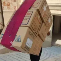 خدمات باربری اسبابکشی ماشین کارگر حمل بارپاکدشت|خدمات حمل و نقل|پاکدشت, پاکدشت (مامازند)|دیوار