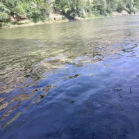 دورهمی مارکده ساعت ۲ بعدازظهرالی ۱۱ شب