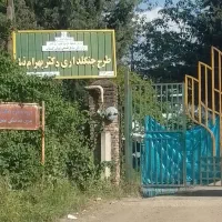 فروش زمین باغی شصت کلا اول روستا یالو