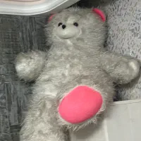 خرس سفید صورتی