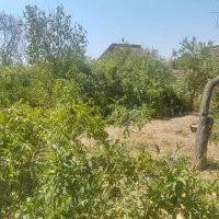 باغ-زمین-فروشی-منطقه-باغ-فین