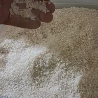 فروش برنج گردو زغال اخته ارگانیک