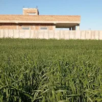 زمین مسکونی ۵۰۰متری به فروش میرسد