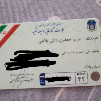 کیف مدارک گم شده