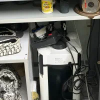 آکواریم|ماهی|شهر ری, سیزده آبان|دیوار