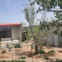 فروش-باغ-نقلی-سند-دار
