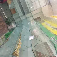 جا اجیلی