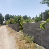 باغچه  500 متری در مجموعه، سند تک برگ عرصه و عیان|فروش زمین و ملک کلنگی|شهریار, بکه|دیوار