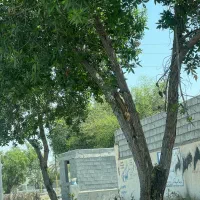 فروش-زمین-تجاری-بلوار-ال-محمد