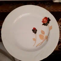 12عدد بشقاب برنج خوری