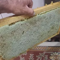 عسل خانگی طبیعی اصل