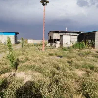 ۴۲۰۰ متر دامداری محدوده سرهنگ|فروش دفتر صنعتی، کشاورزی، تجاری|جلگه رخ, |دیوار