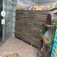 تابلو و دکور مغازه|فروشگاه و مغازه|کرمان, |دیوار