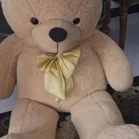 خرس بزرگ عروسکی