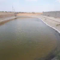 مجموعه گلخانه ای،کشاورزی و دامپروری صنعتی|فروش دفتر صنعتی، کشاورزی، تجاری|بیرجند, |دیوار