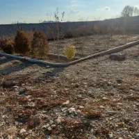 زمین-باغی-ویلایی