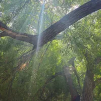 فروش خانه ویلایی  در روستای  زیبای مهرگرد  (سمیرم)|فروش خانه و ویلا|وردشت, |دیوار