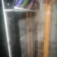 یخچال مغازه دو در..سالم|یخچال و فریزر|کوهدشت, |دیوار