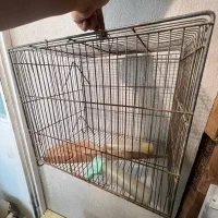 قفس محکم قدیمی