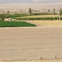 لوله ۵۰ کشاورزی استاندارد